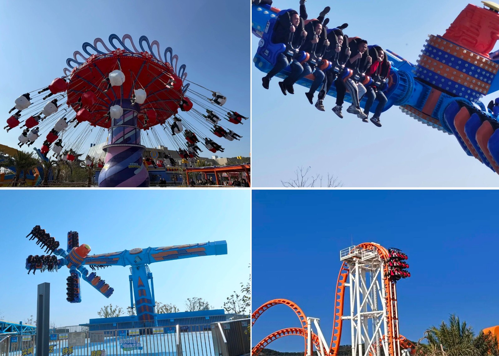 1766390790126596.jpg 2-5.jpg